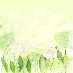 Summer watercolor background blooming dandelions and green leaves, fluffy balls on a meadow or field. Nature illustration hand drawn, can be used for design of cards, labels, tableware print