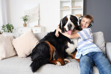 Little boy with Bernese mountain dog in headphones sitting on sofa at home