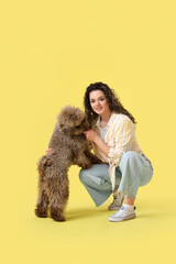 Young woman with poodle on yellow background