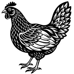    chicken vector illustration
