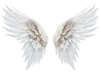 Naklejka premium PNG White Angel Wings And Feathers angel feather white