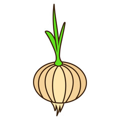 garlic onion vegetable. plant agriculture illustration