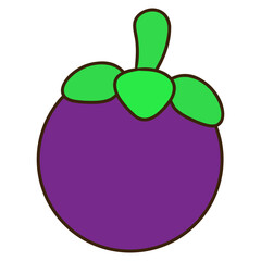 illustration of mangosteen. mangosteen tropical fruit cartoon