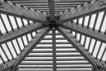 Wooden Sunroof in Black and White.