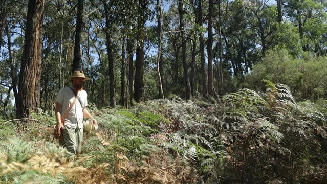 Australian bushman dressed as an historical swagman walking through the bush