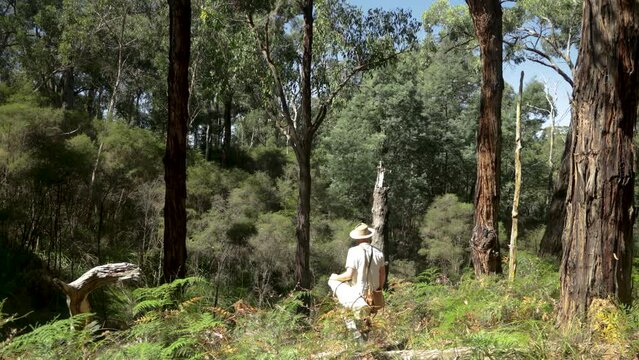 A traditional Australian swagman walking through the bush with his bedroll
