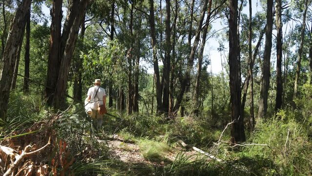 An oldschool historical swagman walking through the Australian bush