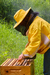 unrecognizable person in beekeeper's suit checking bee hive