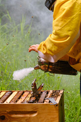 beekeeper spreading smoke with a smoker on a hive of bees