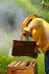 Beekeeper spreading smoke over a frame of bees with a smoker while holding it over a hive with a...