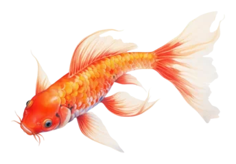 Fotobehang PNG Koi goldfish animal sea life © Rawpixel.com