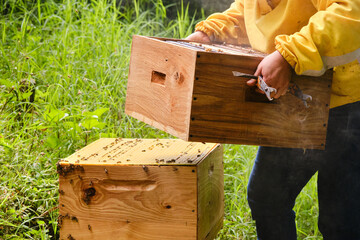 Person lifting the upper chamber of a hive, exposing the queen excluder above the lower chamber.