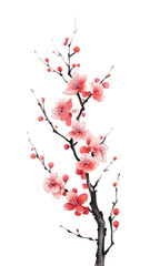 PNG  Peach branch blossom flower plant