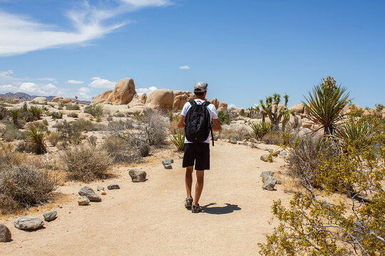 Man hiking with backpack between boulders and joshua trees on Arch Rock Trail in Joshua Tree National Park, CA, USA