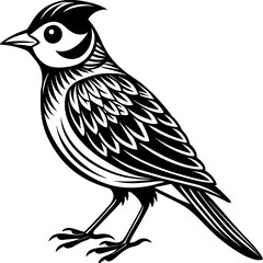   Bird vector illustration.

