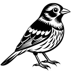    Bird vector illustration.
