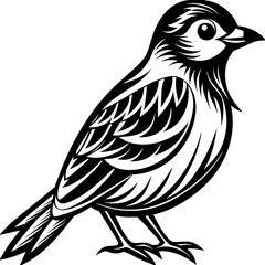Fototapeta premium Bird vector illustration. 