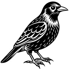 Fototapeta premium Bird vector illustration. 