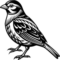    Bird vector illustration.
