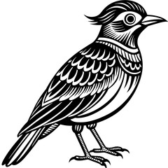    Bird vector illustration.
