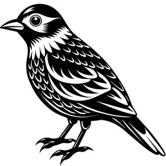    Bird vector illustration.
