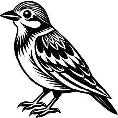    Bird vector illustration.
