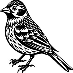    Bird vector illustration.
