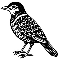    Bird vector illustration.

