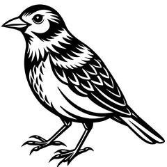    Bird vector illustration.
