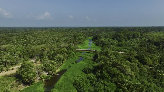 Aerial view over a overgrown river and Mangrove forests of Barra San Jose,Chiapas Mexico
