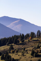 fin de journée sur les montagne et la foret d'automne pyrénéenne 