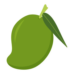 Green Mango Fruit Isolated on White