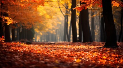 autumn forest ablaze with the fiery colors of changing leaves, creating a picturesque backdrop