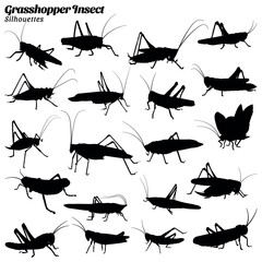 Collection of grasshopper silhouette illustrations