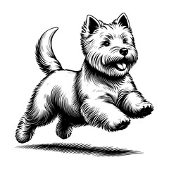 Happy Westie Terrier jumping. Hand Drawn Pen and Ink. Vector Isolated in White. Engraving vintage style illustration for print, tattoo, t-shirt	