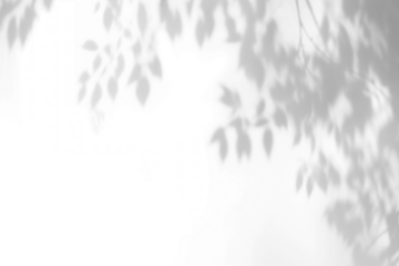 PNG Leaf shadow effect, transparent background