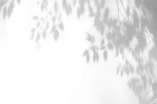 PNG Leaf shadow effect, transparent background