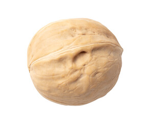 Walnut isolated white background