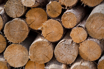 
Chopped wood ready for heating. Detailed view.