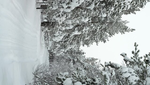 Vertical Video of Snow Covered Trail in Lappish Winter Forest - Static