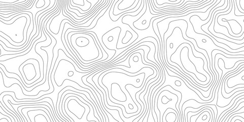 White topology , topography vector abstract contour - obrazy, fototapety, plakaty