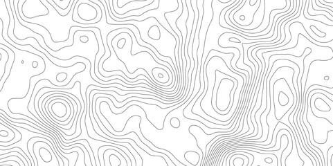 White topology , topography vector abstract contour