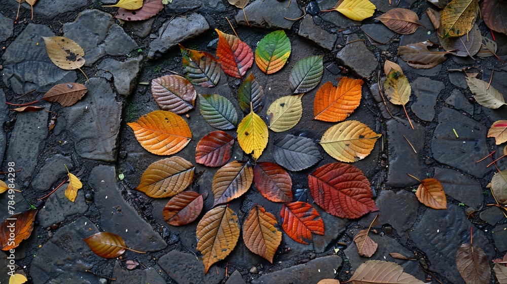 Poster leaf patterns: a photo of a collection of leaves, arranged in a circular pattern on the ground