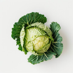 Obraz premium cabbage isolated on white background