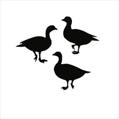 Fototapeta premium Graceful Silhouettes of Majestic Goose Birds in Various Poses, Vector Avian Beauty for Your Projects