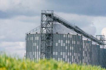 Granary elevator, silver silos on agro manufacturing plant for processing drying cleaning and...