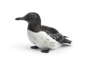 Obraz premium Solitary Guillemot Bird in Contrasting Black and White Plumage on a Clean White Backdrop