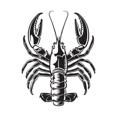 Lobster Vector Art, Icons, and Graphics, Illustration a Lobster