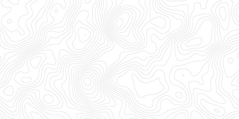 White topography and topology map texture vector