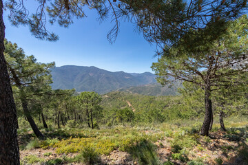 Landscape of Sierra de las Nieves 